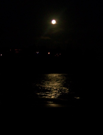 Moonlight on the Ocean